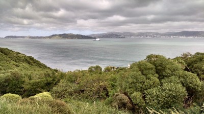 201811051704-00374-HDR_Somes_Island.jpg