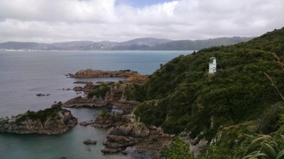 201811051724-00375-IMG_Somes_Island.jpg