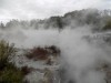 201810271049-00013-DSCN6592_Rotorua.jpg