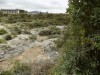 201810271255-00026-DSCN6607_Rotorua.jpg