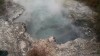 201810271304-00233-IMG_Rotorua.jpg