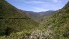 201811041040-00321-IMG_Rimutaka_Trail.jpg