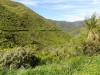 201811041041-00078-DSCN6660_Rimutaka_Trail.jpg