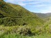 201811041041-00079-DSCN6661_Rimutaka_Trail.jpg