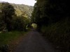 201811041113-00100-DSCN6682_Rimutaka_Trail.jpg