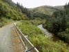 201811041134-00101-DSCN6683_Rimutaka_Trail.jpg