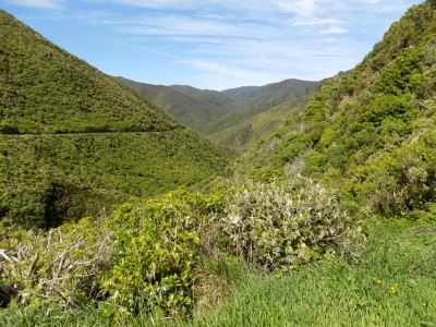 201811041041-00077-DSCN6659_Rimutaka_Trail.jpg