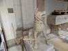 201905201000-00325-DSCN7092_Vatican_Museum.jpg