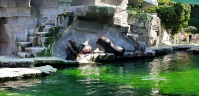 202405141606-00121_Vienna_Zoo.jpg