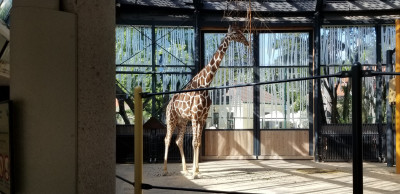 202405141626-00125_Vienna_Zoo.jpg