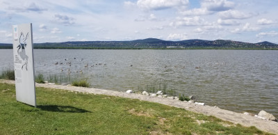 202405231417-00263_Lake_Balaton.jpg