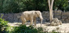 202405141612-00124_Vienna_Zoo.jpg