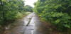 202405241034-00269_Deserted_Road.jpg